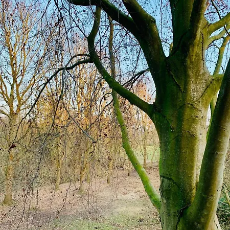 Funckyhome 아파트 *